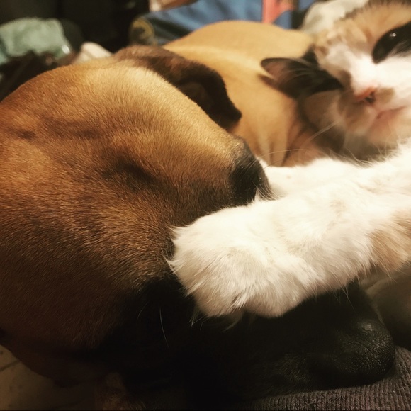 Meet your Posher, Amanda - Picture 2 of 6